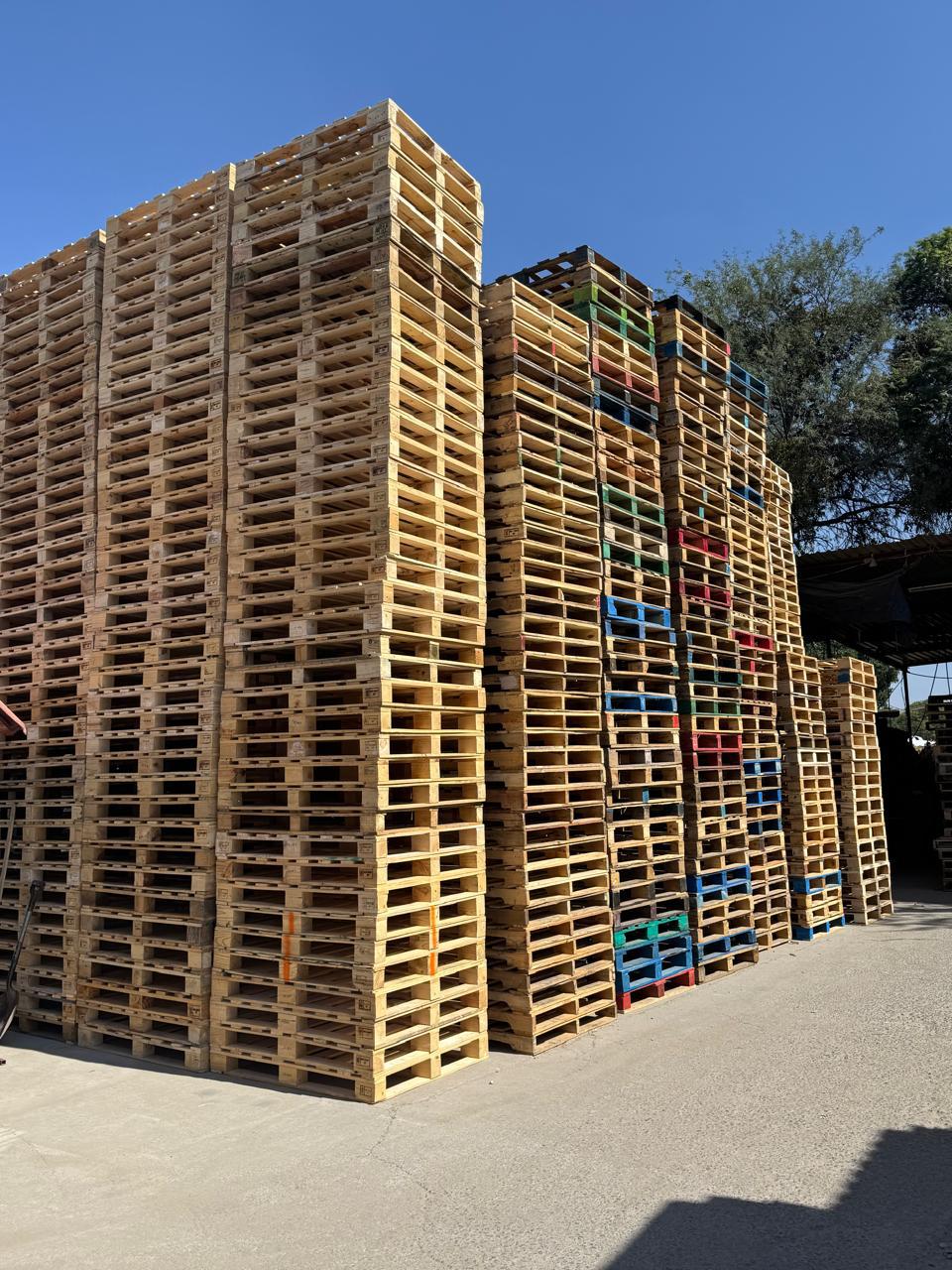 Tarimas de madera